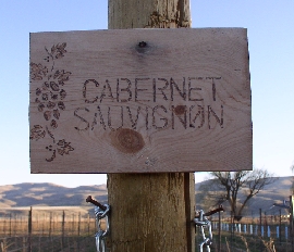 Cabernet Sauvignon