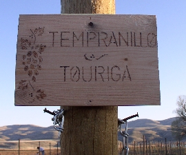 Tempranillo